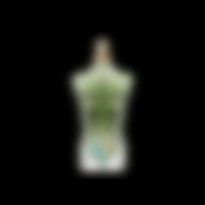 JN PL G COLOGNE SUPPLIER